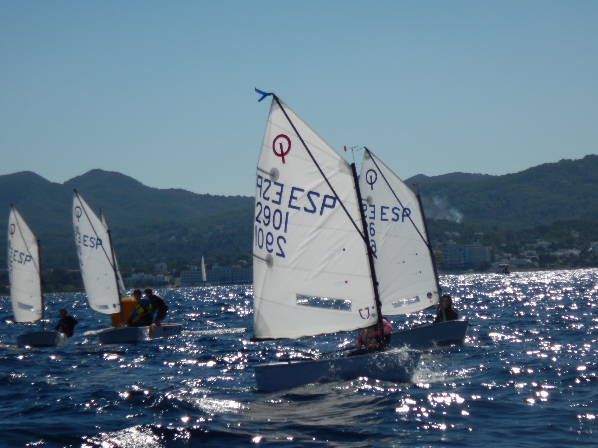 Optimist, Trofeo Pro-Rigging, Bahía de Palma, vela ligera, deporte náutico